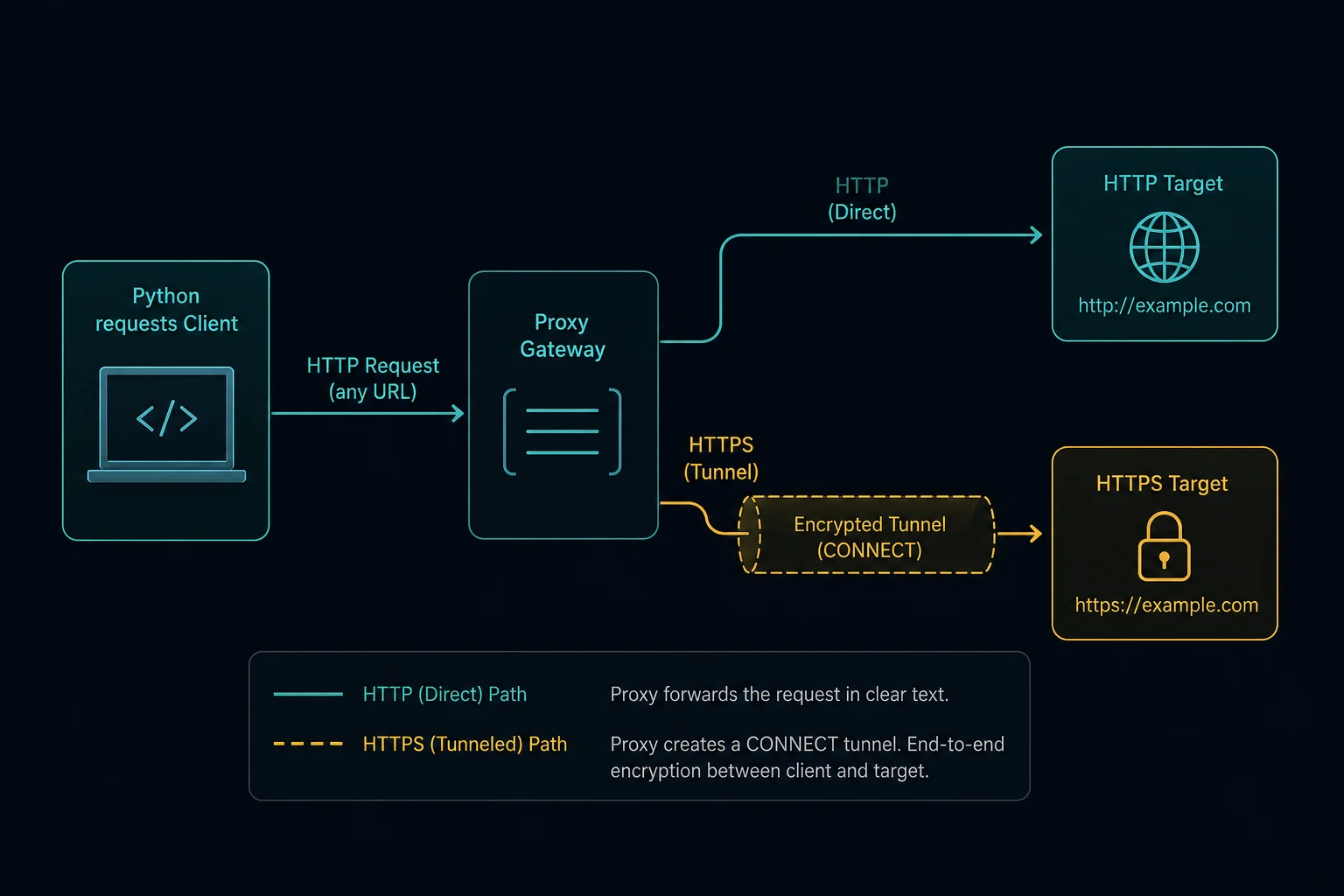 Flow showing a Python requests client sending traffic through a proxy to HTTP and HTTPS targets